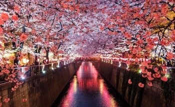 Diëtist & Coach, Orthomoleculair Therapeut & Darmtherapeut