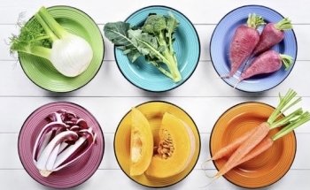 Diététicienne Nutritionniste Stéphanie HUBSCH