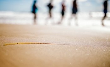 CABINET DIETETIQUE SONIA GABORIEAU DIET BIEN ETRE