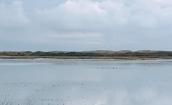 Dietistenpraktijk Eilandcoaching