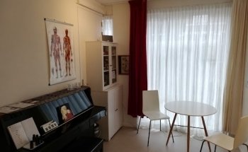 Orthomoleculaire natuurgeneeskunde, klinische Psycho Neuro Immunologie en masseur