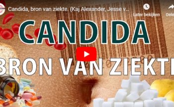 Candida dieet