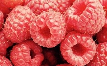 Voedingsadvies Nutricium