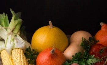 Voedingspraktijk Loes