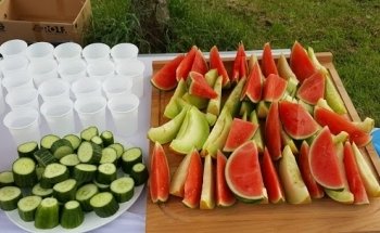 Debelicious Voedingsadvies