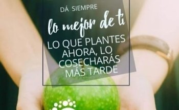 DIETA CLUB RIO GRANDE