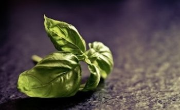 Cabinet Flora Massanella - Diététique et nutrition