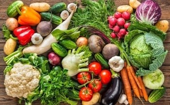 Studio für Ernährungsberatung Stephanie Lorenzo