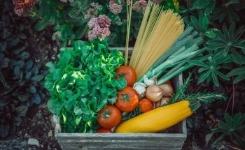 Ernährungscoach (IHK) Mieke Tischleder