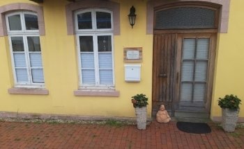 Kinesiologischer Coach & Genetic-Healing