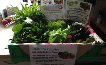 Christiana Andree (Rummel) Kinesiologie + Ernährungsberatung