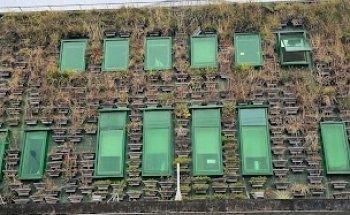 Nutricionista Franco Werner