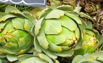 Praxis für Ernährungsberatung Nutrition4u - Eva Theresa Weismüller