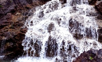 Food Body Mind by Ente