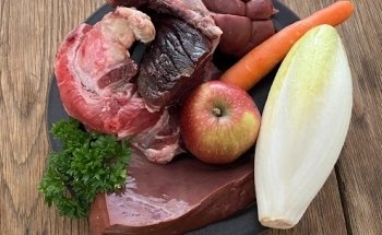 Barf-Plan Ernährungsberatung für Hund und Katze