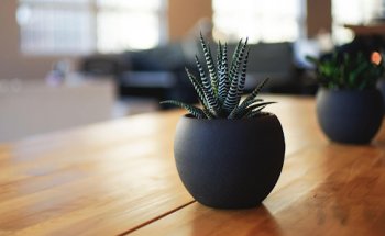 Praxis gesunde Ernährung