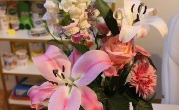 Diëtiste Caia Ceusters