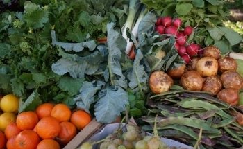 Ernährungsberatung Marlein Stasche