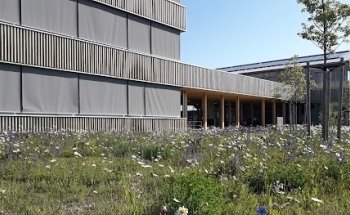 Amt für Ernährung, Landwirtschaft und Forsten Kaufbeuren