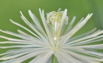 Diät- und Ernährungsberatung Ingrid Henschler-Kunze