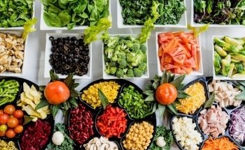 Ernährungsberatung VDL