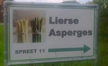 Psychologisch consulente/Diëtiste/Voedingsadvies voor sporters