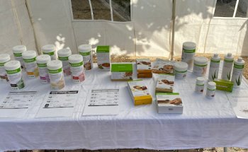 Davy Van Damme Coaching