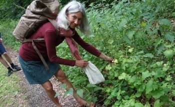 Ganzheitliche Ernährungsberatung Ingret Koch