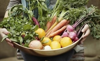 ernaehrgy Ernährungsberatung und Hormonberatung