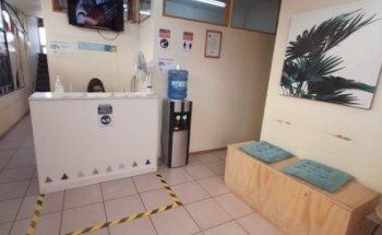 Nut. Constanza Zavala Arancibia, Nutricionista