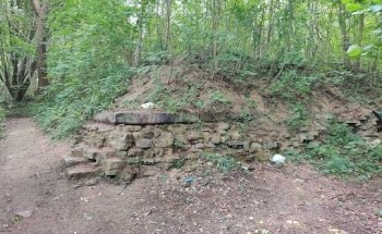 ernährungstherapeutische Beratung Theresa Hünig