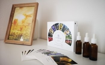 Milleflora Ernährungsberatung & Blüten-Coaching