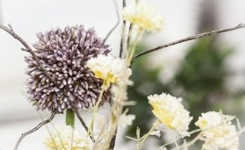 MediVital – Institut für medizinische Kosmetik & ganzheitliche Medizin