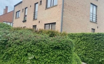 Annabel Deneyer - Nutritionniste - Thérapeute - Waterloo