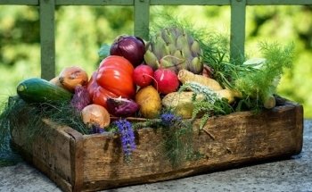 Diététicienne Anne Chauvaux