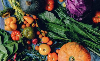 Arthealthy | Catering & Events