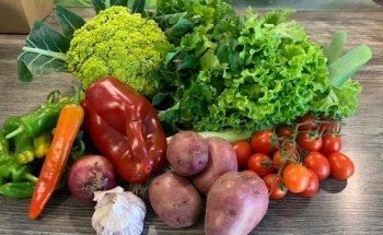 Ernährungsberatung Anett Mahncke