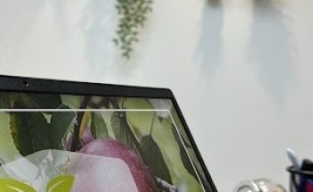 Hugo Roullier - Diététicien - Albi