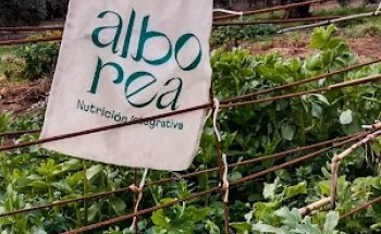 Alborea Nutrición Integrativa