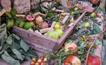 Dott.ssa Valentina Viti Biologa Nutrizionista