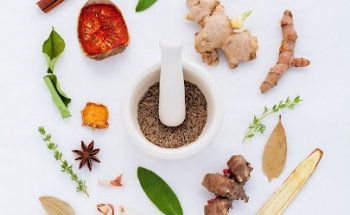 Pablo Climent consultoría en nutrició