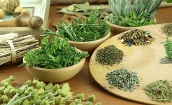 Dr. Maria Ilma-Dietista