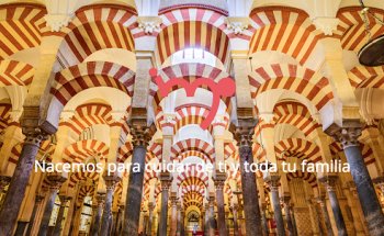 Instituto Médico Palmeño