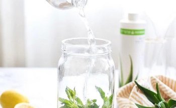 María Coach de nutrición