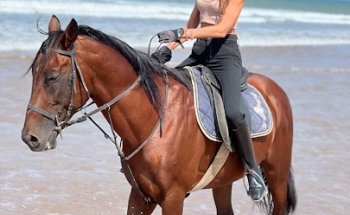 Laura Jana Wellness Coach