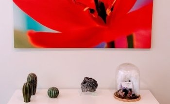 Pedro Escobar Torres