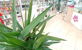 La Herboristería de Ainara Mungia