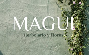 HERBOLARIO Y FLORES MAGUI