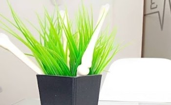 Clínica La Alcayna Fisioterapia, Osteopatía, Nutrición, Podología y Psicología