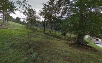 Itxaro Zabaleta - Nutrición deportiva